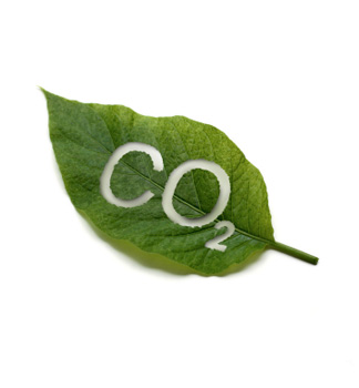 Leaf with CO2 cut out