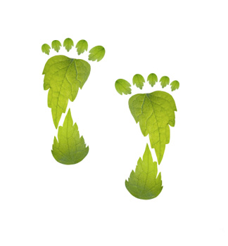 Carbon footprint made of leaves